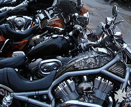 Attend Sturgis