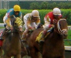 Attend the Kentucky Derby