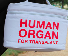 Be an Organ Donor