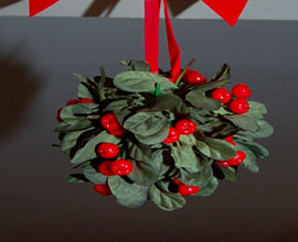 Kiss under the Mistletoe