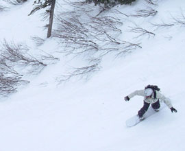 Learn to Snowboard