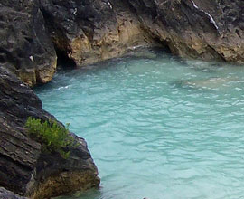 Swim in a Cove