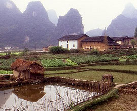 Visit China